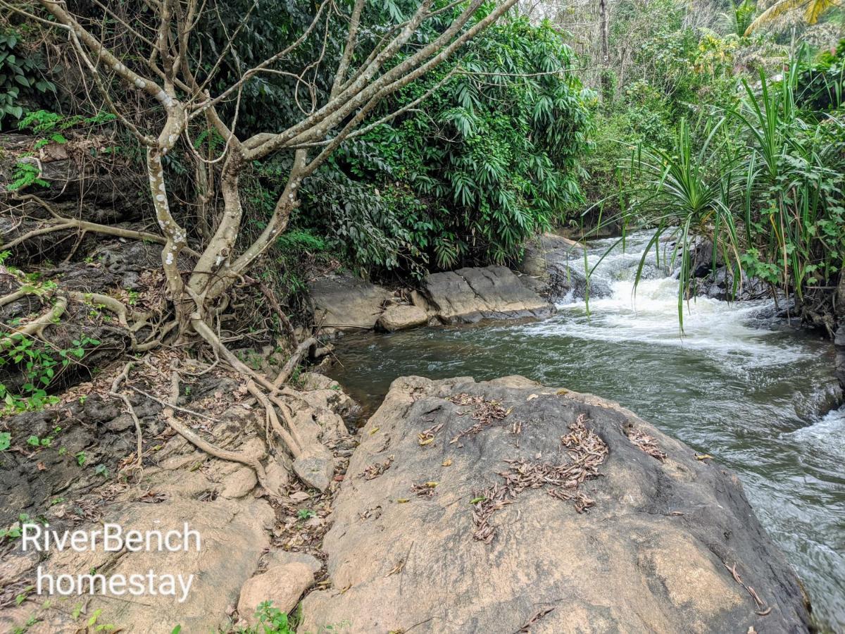 Riverbench Homestay Munnar, Anaviratty Dış mekan fotoğraf
