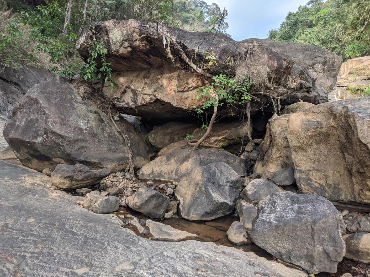 Riverbench Homestay Munnar, Anaviratty Dış mekan fotoğraf