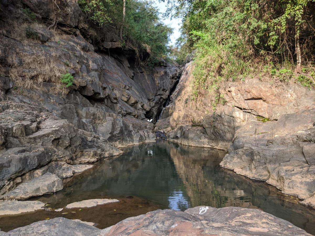 Riverbench Homestay Munnar, Anaviratty Dış mekan fotoğraf