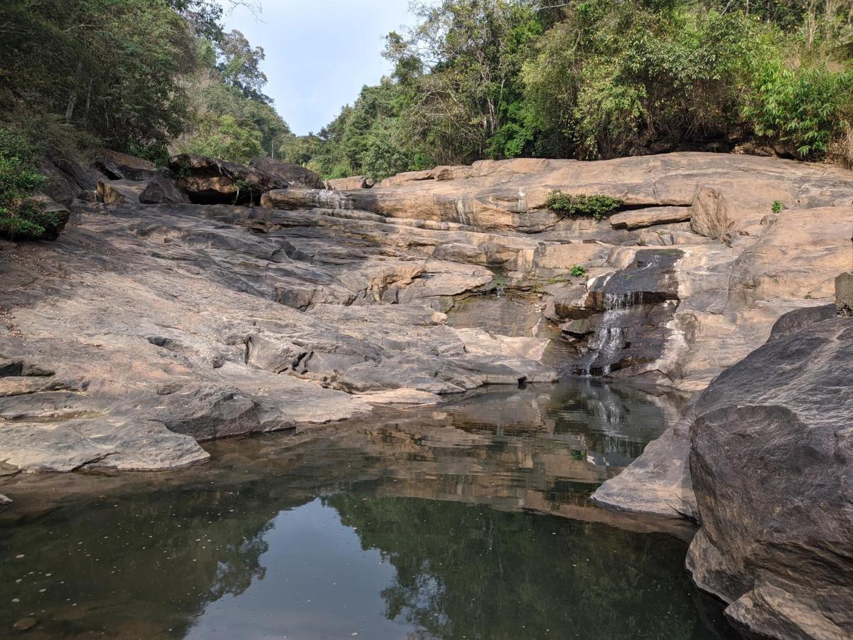 Riverbench Homestay Munnar, Anaviratty Dış mekan fotoğraf