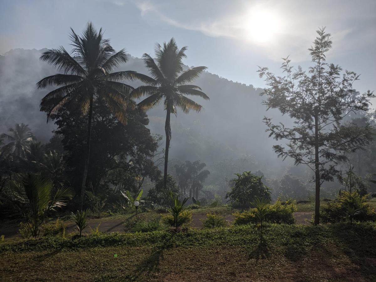 Riverbench Homestay Munnar, Anaviratty Dış mekan fotoğraf