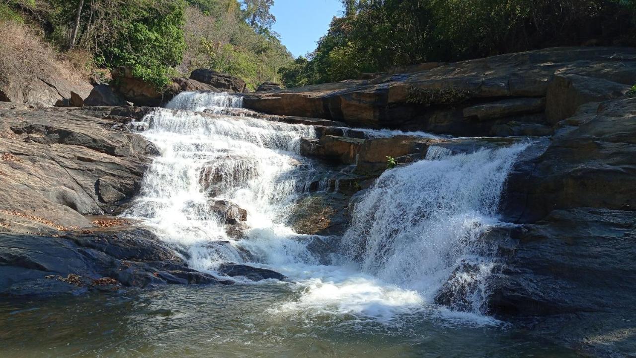 Riverbench Homestay Munnar, Anaviratty Dış mekan fotoğraf