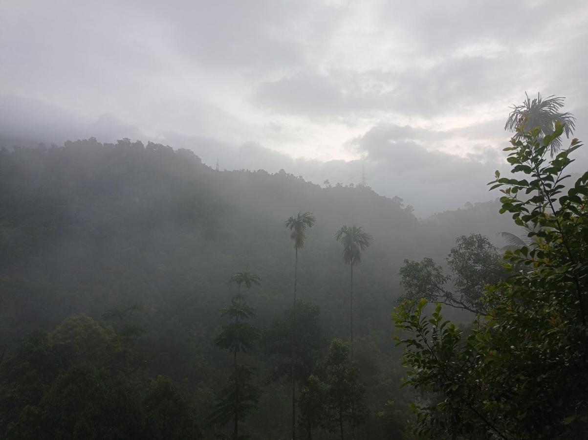 Riverbench Homestay Munnar, Anaviratty Dış mekan fotoğraf
