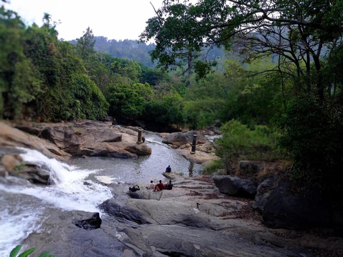 Riverbench Homestay Munnar, Anaviratty Dış mekan fotoğraf