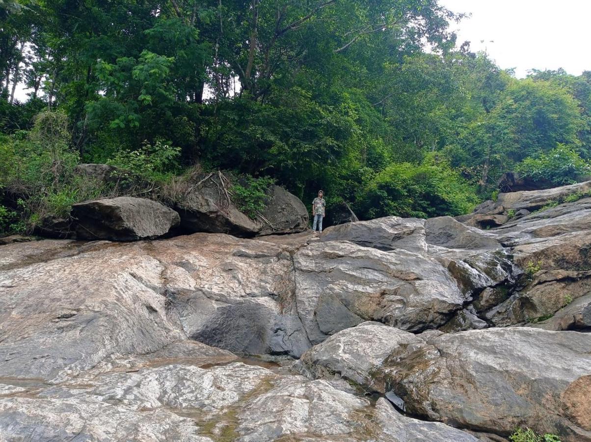 Riverbench Homestay Munnar, Anaviratty Dış mekan fotoğraf