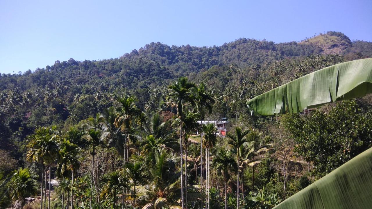 Riverbench Homestay Munnar, Anaviratty Dış mekan fotoğraf